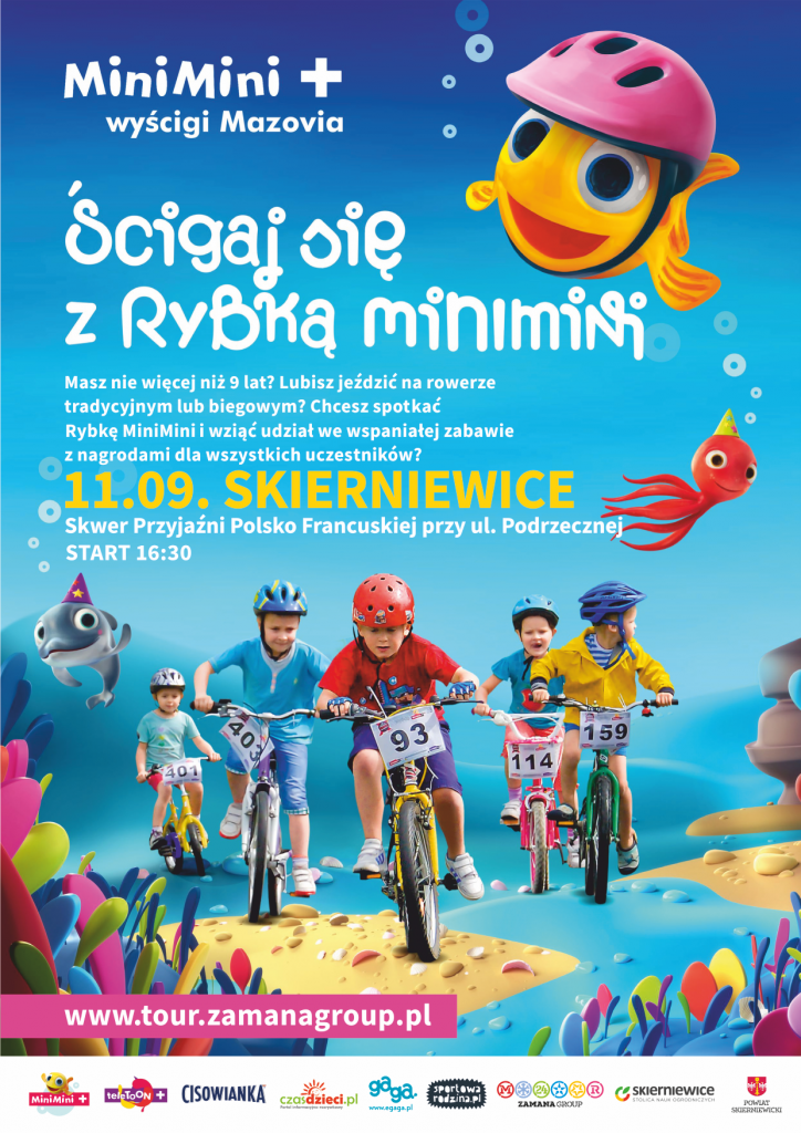 Mini Plakat A4 SKIERNIEWICE 2, Starostwo Powiatowe w Skierniewicach