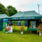 Dsc01109 Optimized, Starostwo Powiatowe w Skierniewicach