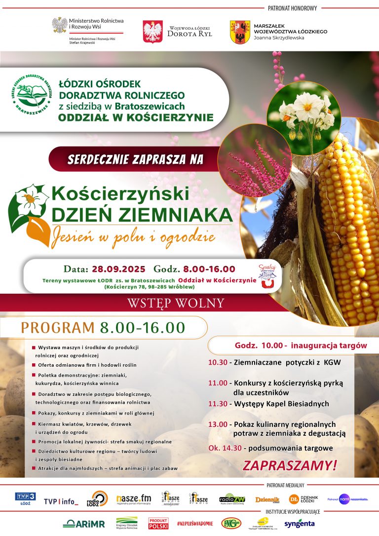 Dzień ziemniaka