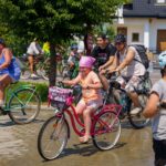 731093936 1666309725307472 1435292830906430020 N, Starostwo Powiatowe w Skierniewicach