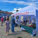 15 1, Starostwo Powiatowe w Skierniewicach