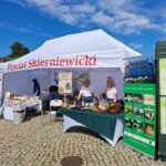 23 1, Starostwo Powiatowe w Skierniewicach