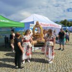 24 1, Starostwo Powiatowe w Skierniewicach