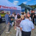 33 1, Starostwo Powiatowe w Skierniewicach